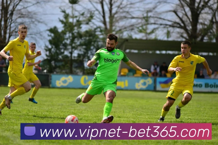 bet365平台生态图