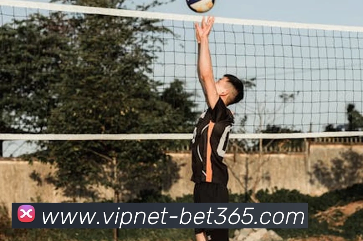 辅助工具 辅助工具